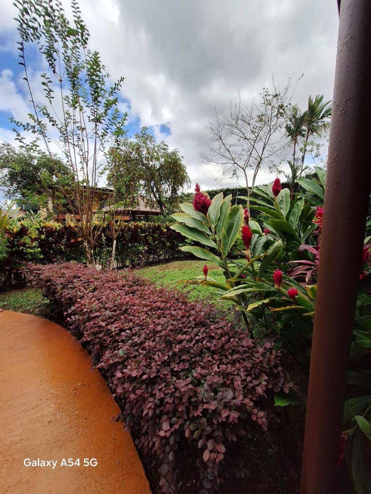 Iris Arenal Hotel La Fortuna Zewnętrze zdjęcie